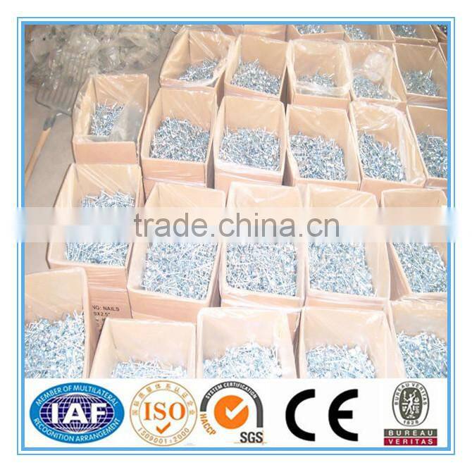 ISO 9001 Electro Galvanized Mushroom & umbrella head roofing nails