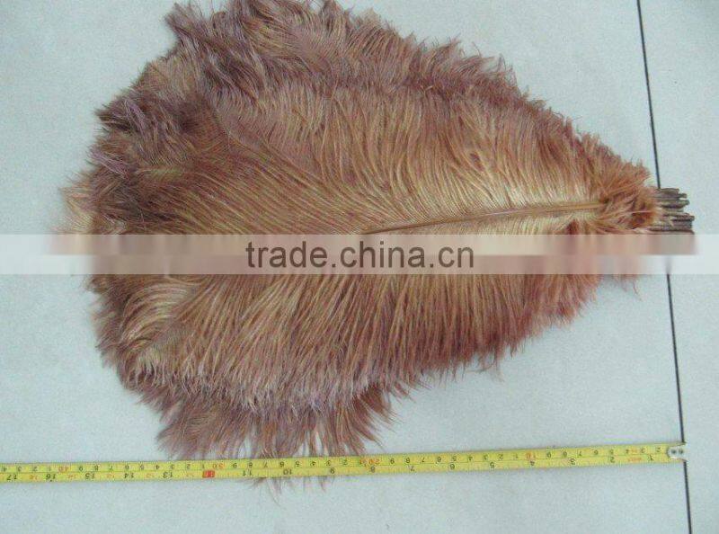 Carnival decorative large white ostrich feathers