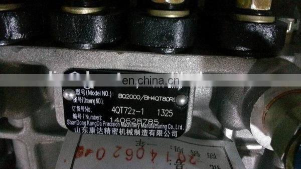 Fuel Injection Pump BQ2000 / BH4QT80R9 4QT72bz-1
