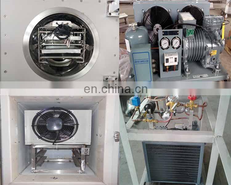 The best sale model freeze dryer lab machine price