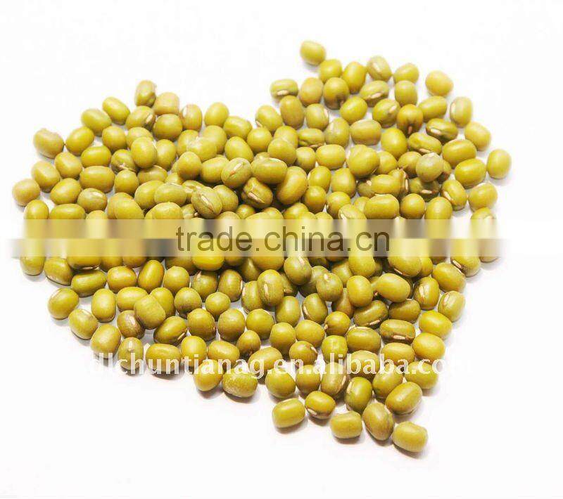 organic mung bean
