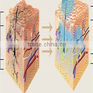 multifunctional salon beauty equipment manufacturer