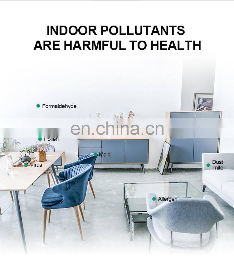 Hot Sale 2019 CE Sanitizer Sterilizer Large Home Ion Air Purifier For Hotel Hospital