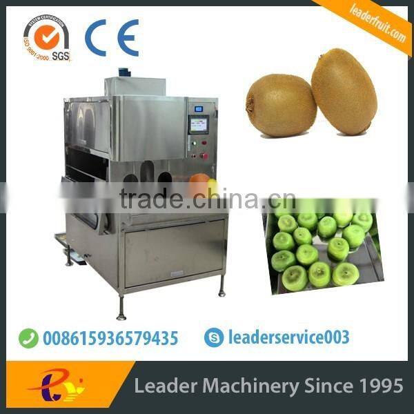 Leader low price kiwi washing and peeling machine for food processing