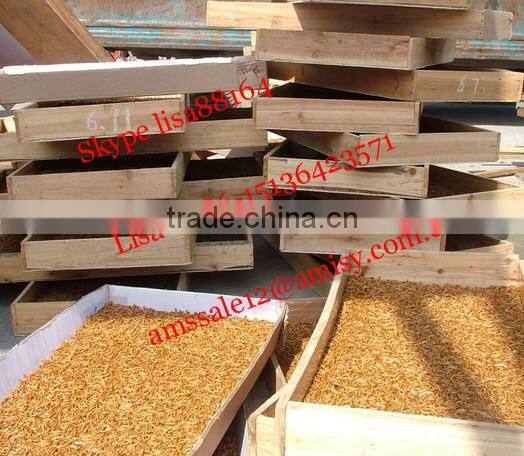 500~600KG/H Automatic Tenebrio-moliter Separator