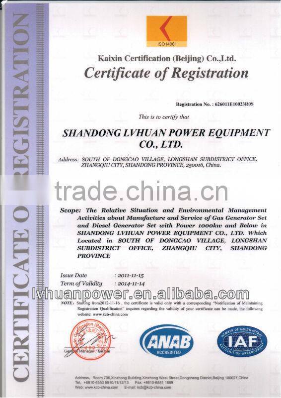 manufacturer CE Methane gas generator reasonable price