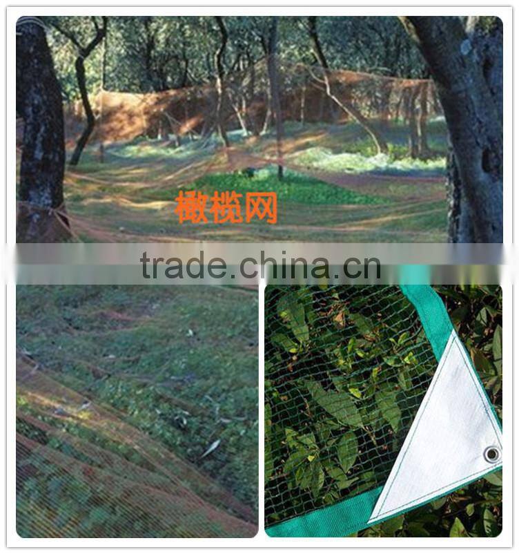 HDPE Agriculture olive harvester/ Olive Harvest Net/hdpe monofilament net with cheap price