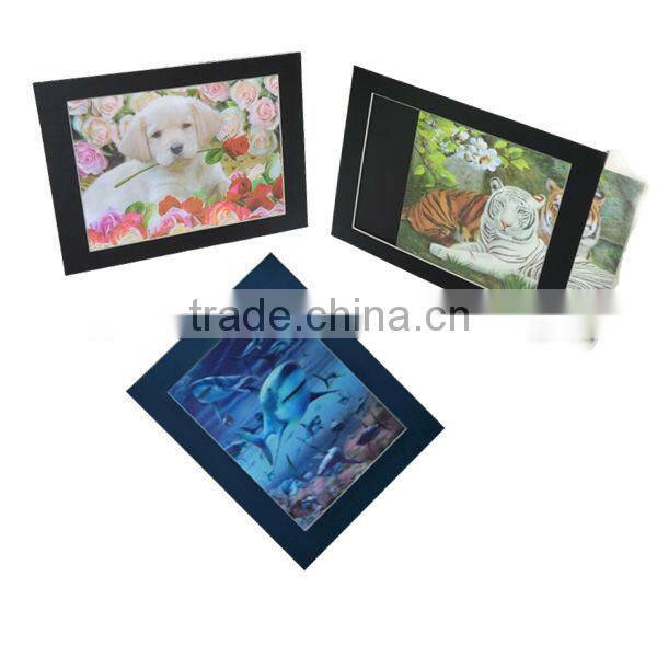 Religoin Custom 3D lenticular picture with Frame 3D art