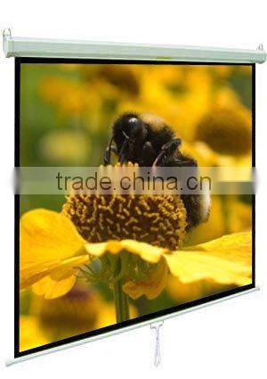 Projector Screens / Manual Projector Screens