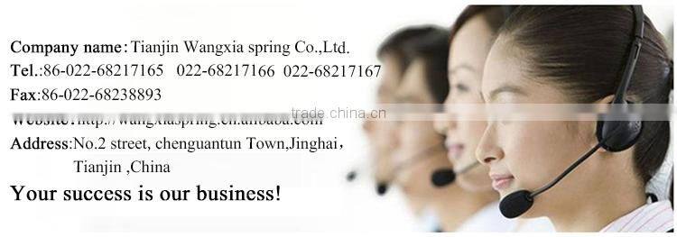 High Quality Cheap Custom torsion spring hinge