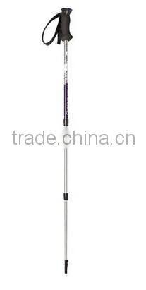 rattan walking sticks