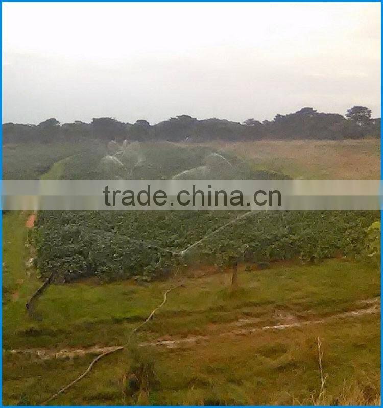 Metal Material and New Condition impact sprinkler irrigation machinery