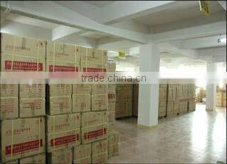 TENS /EMS/Therapy Machine Ultrasonic Probe For Beauty