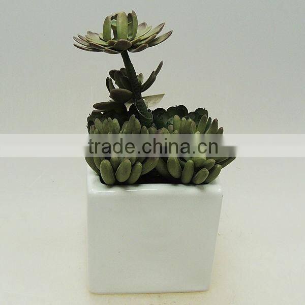 New design garden decorative pot plants