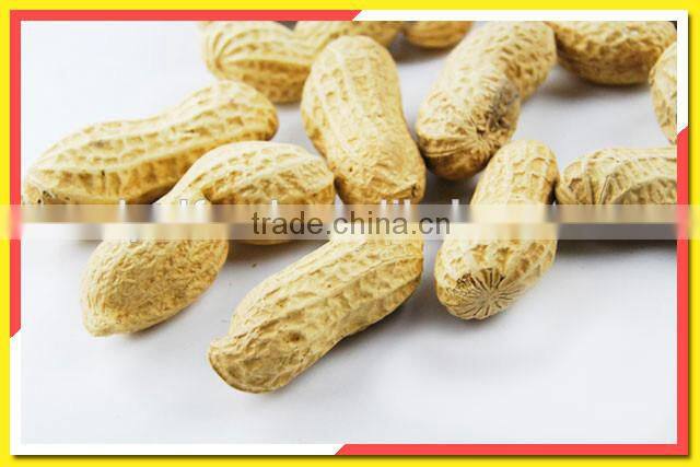 All Normal Sizes roasted peanut in shell roasted and salted peanuts shell