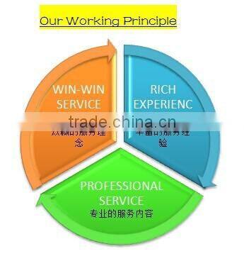 3D 300X600MM 12'*24' Inkjet Printing Wall Tile