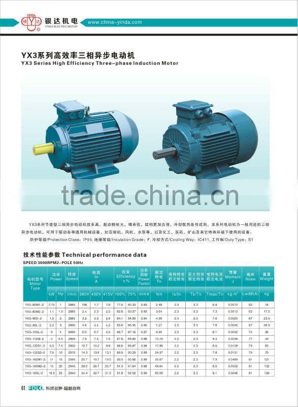 YE2 Series Compact Type 3 Phase Squirrel Cage Induction Motor