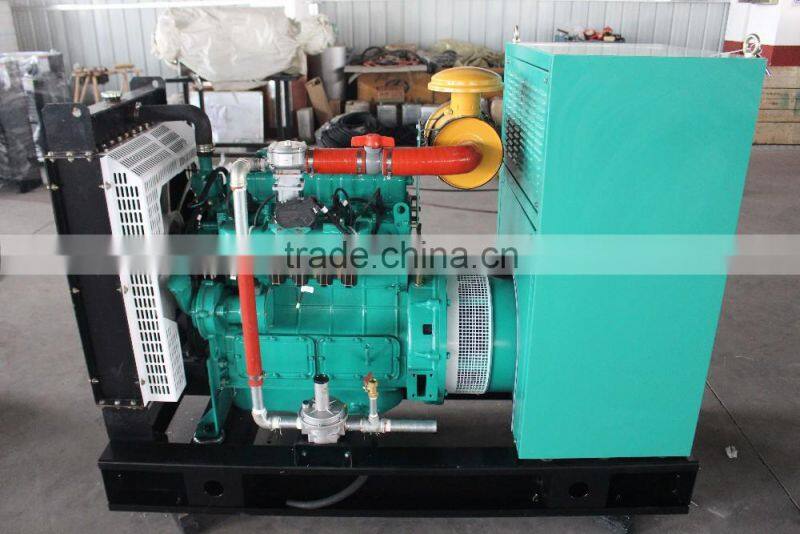 20kw power electric biogas generator genset for sale