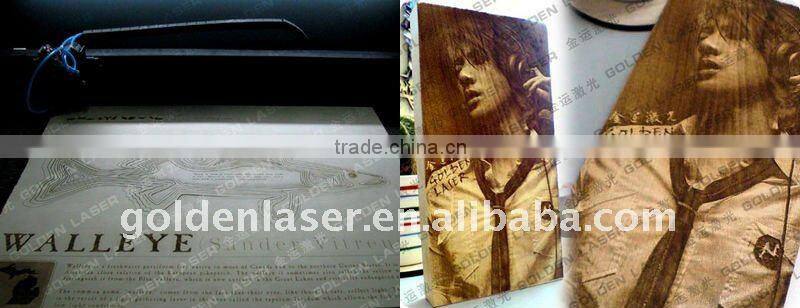 Wood Engraving Machine Laser CO2 for Logo/Photo Engraving