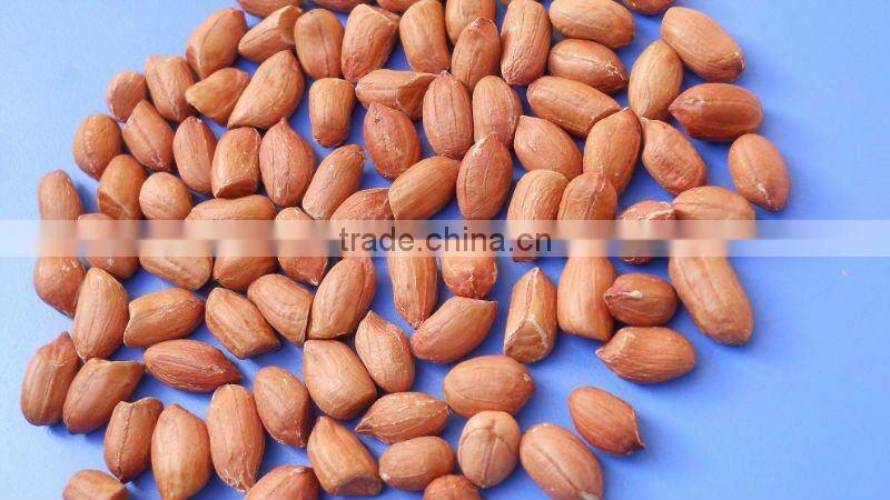 INDIAN QUALITY BOLD GROUNDNUT KERNEL 50/60