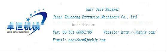 automatic snack food fryer