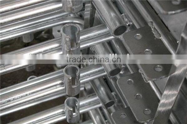 Pig farm farrowing pen sow gestation stall