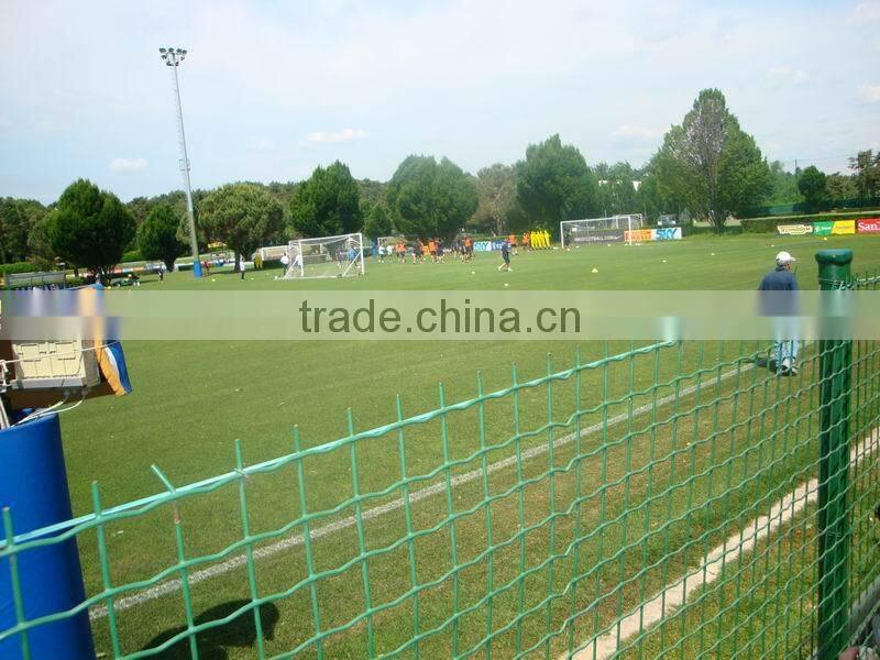 High Quality Plastic Coated Holland /Dutch Wire Mesh /Euro Fence (holland wire mesh,holland wire mesh