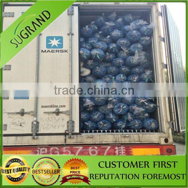 building safety net,scalfolding debris nets