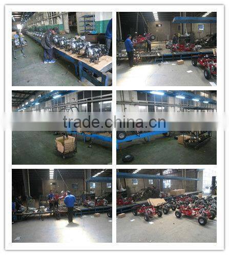 EEC 250cc CVT transmission go kart