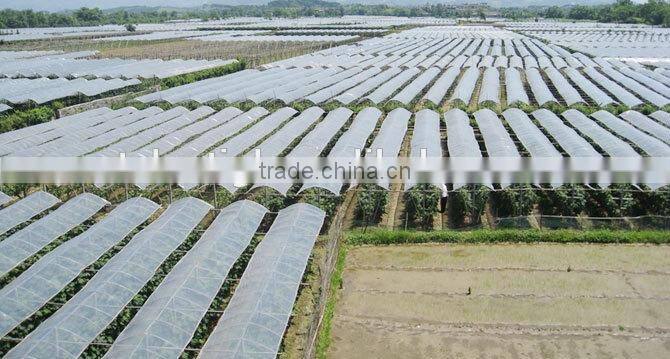 Multi span PE Cover Film PE greemhouse film for vegetable greenhouse