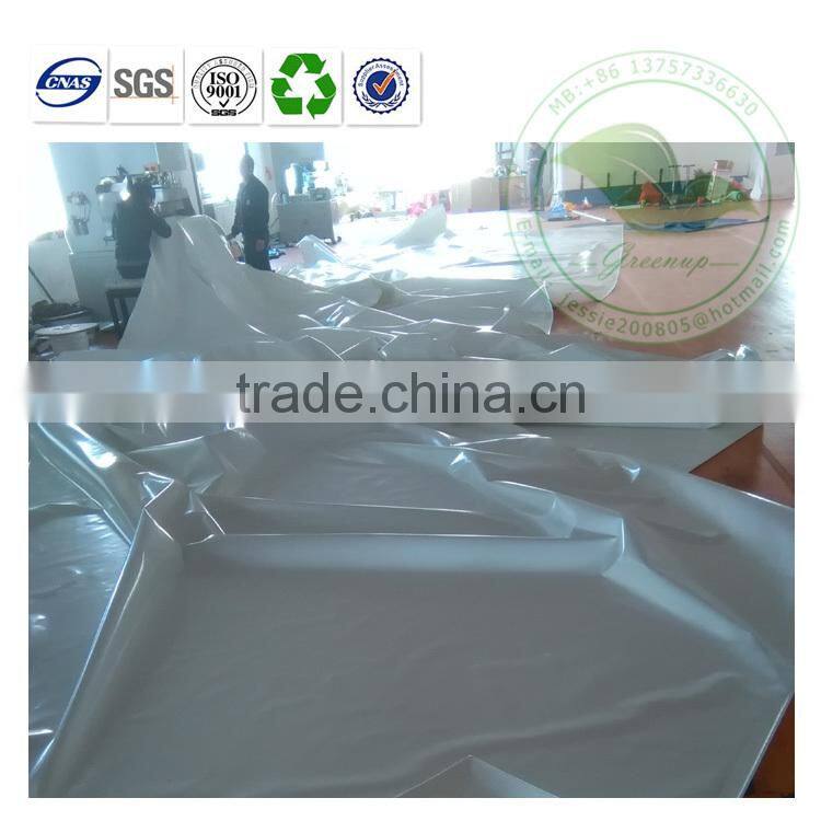 Ridge roof breeding transparent window tent