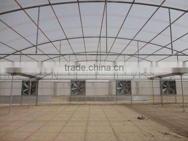 Multispan Greenhouse (Polycarbonate Valuview ROMA)