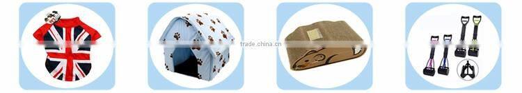 Toprank Alibaba Trade Assurance Flashy Retractable Long Leash Training Dog Leash Chain