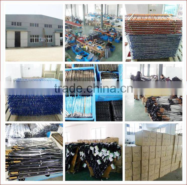 2014 Latest design outdoor sports walking stick with light and alarm