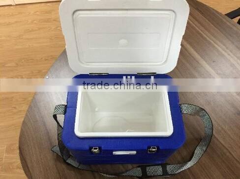 6L Capacity Digital Display Food Cooler Box