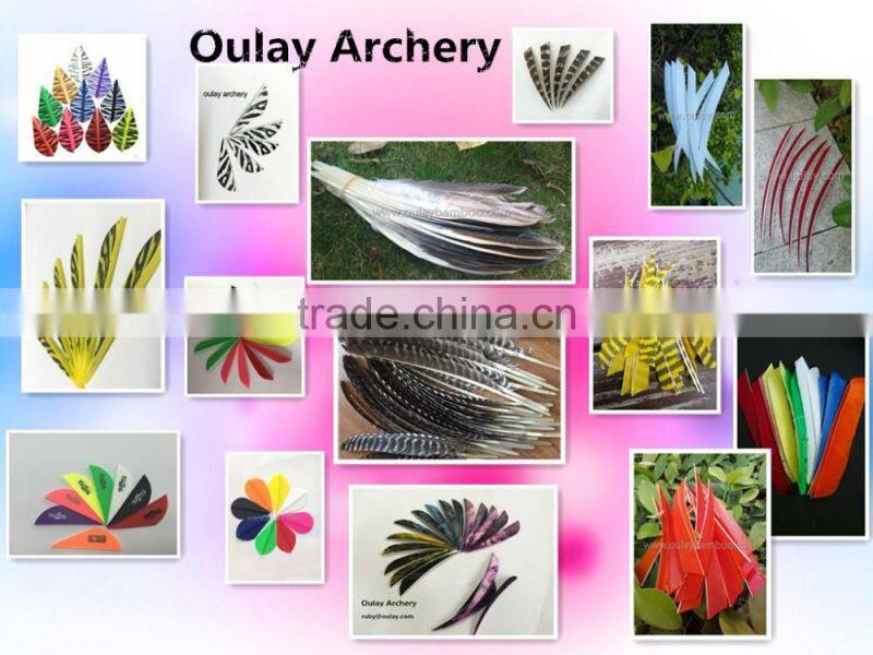 1.75" 2" 2.5" Parabolic TPU Plastic Vanes For Bow And Arrows