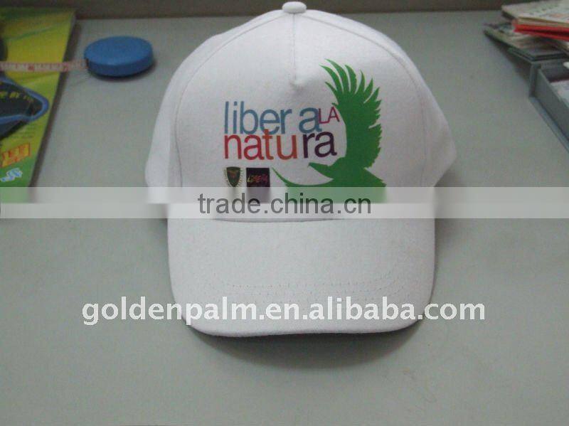 Promotiona Baseball Cap