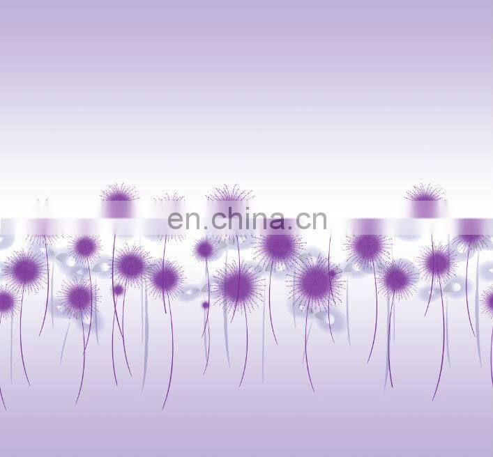 2013 New Design Digital Printed Curtain