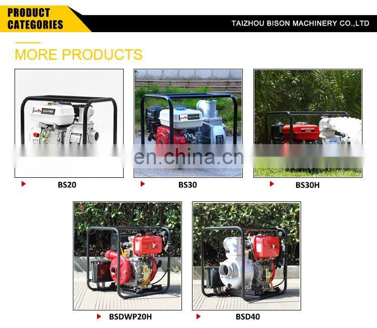 BISON WP30 3inch Pump Gasoline Water Pump Petrol Pump Machine