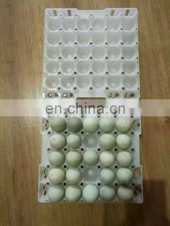 PP material egg container 30 holes plastic egg tray