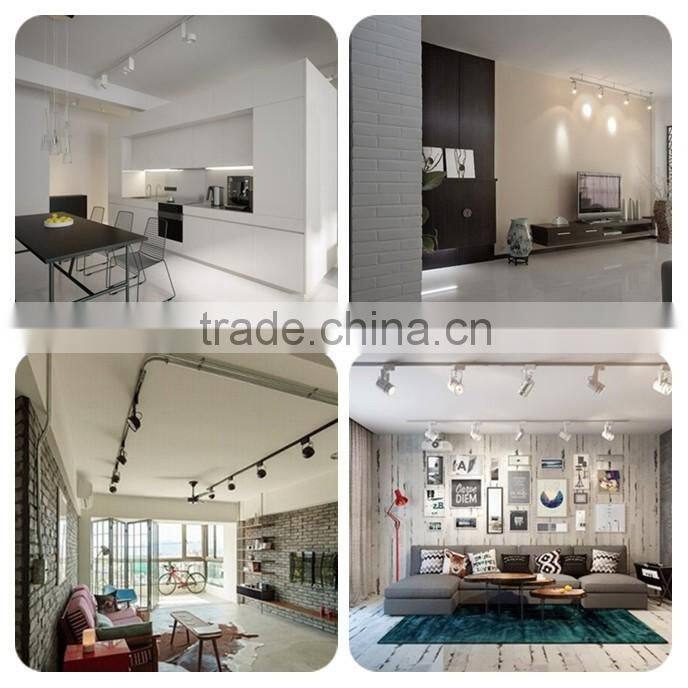 China Factory Price Satin Nickel Aluminum LED Smd/Cob Chip Spot Light