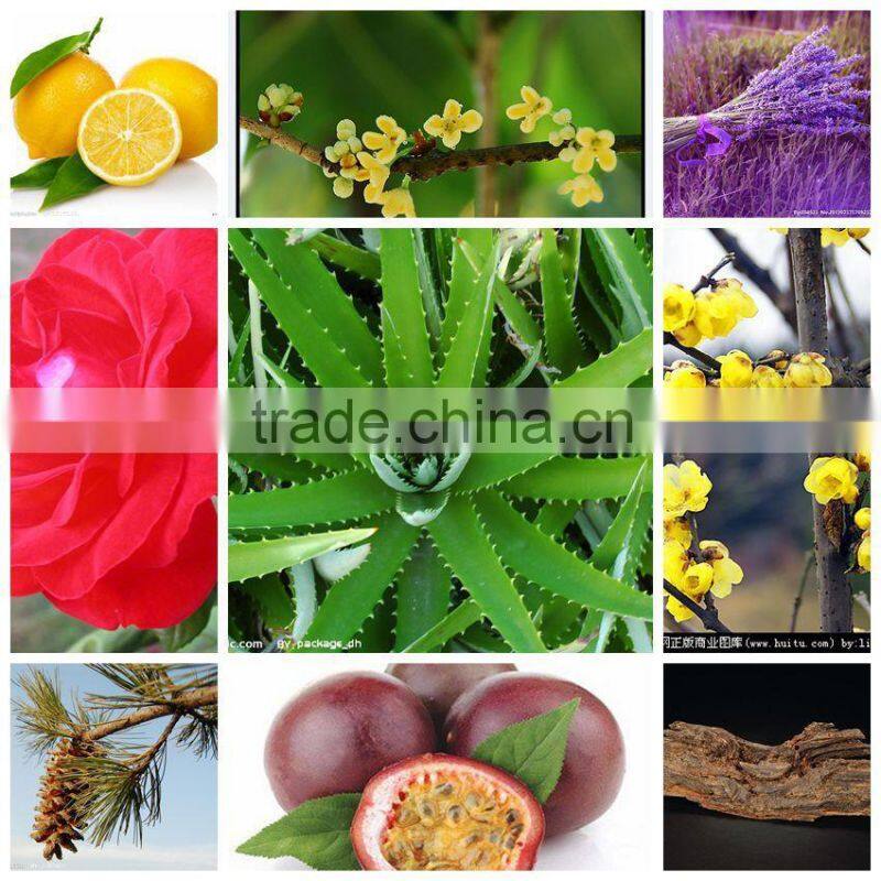 high quality essential oil distillery