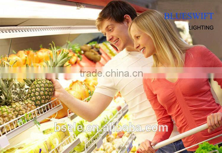 110v DC 18 Inch Led Tube Light