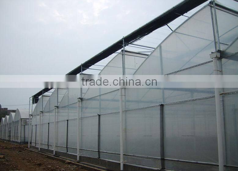 Vegetable Greenhouses for Sale