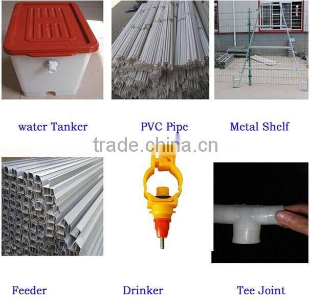 layer egg chicken cage/poultry farm house design layer chicken battery cage