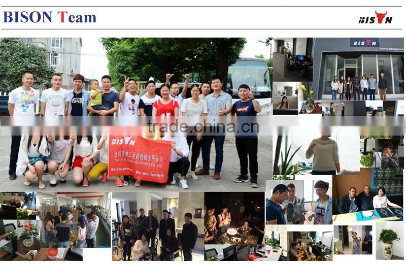 BISON(CHINA) 10kw Output Power Twin Cylinder Air Cooled Open Structure Portable Generator