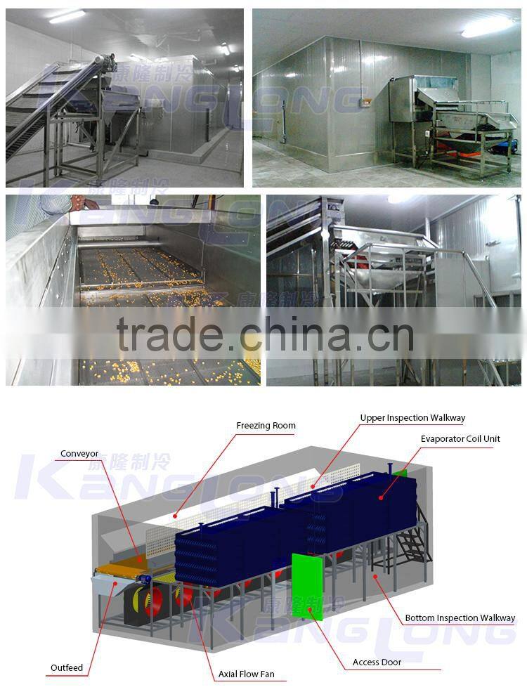 Large Capacity French Fries Freezer With High Quality