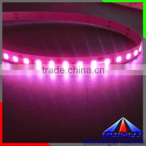 SMD2835 LED Pink Color Strip Light,Flexible LED Strip Pink