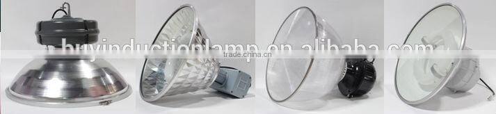 Rectangular Shape greenhouse 300w Plant Growing Lamp