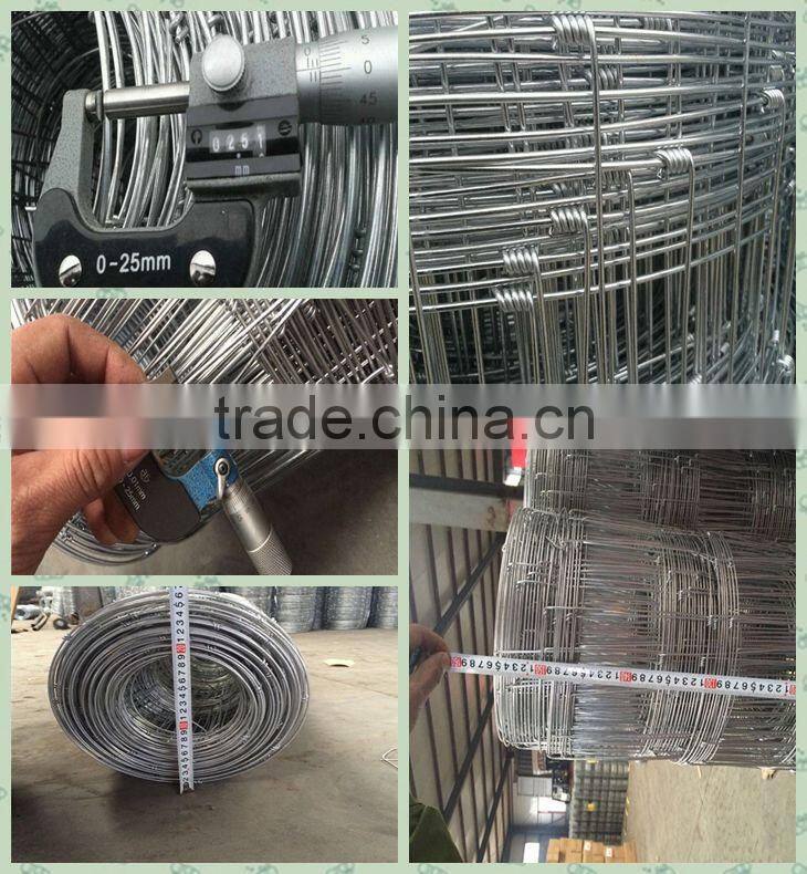 Factory grassland hot dipped galvanized woven wire sheep fence